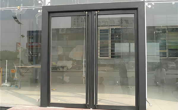 博湖玻璃地弹门